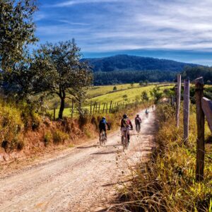 Bike tour Via Romea Germanica 3