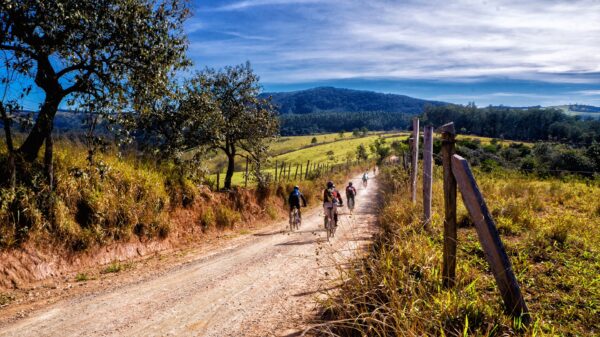 Bike tour Via Romea Germanica 3