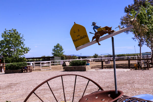 Horse Riding holidays Tuscany