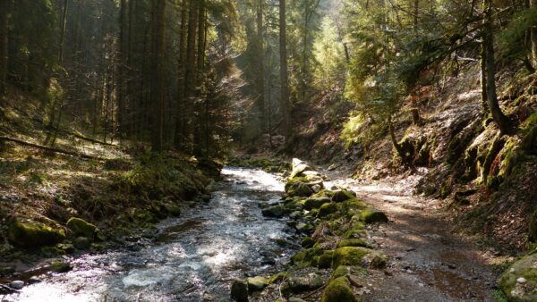 Trekking Dante's footsteps Italy