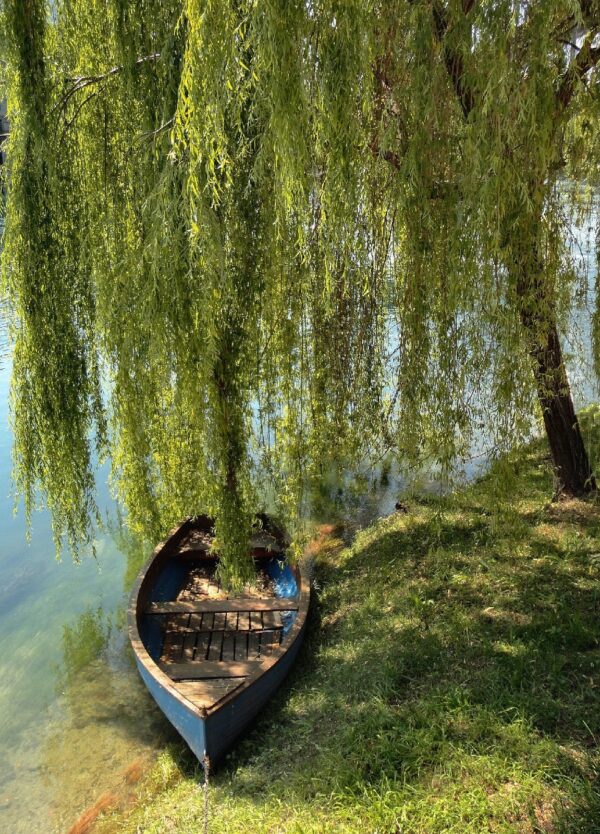 Trekking and Packraft in Lombardy